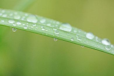 《疾速追杀5》确认制作 还将改编成3A级游戏大作